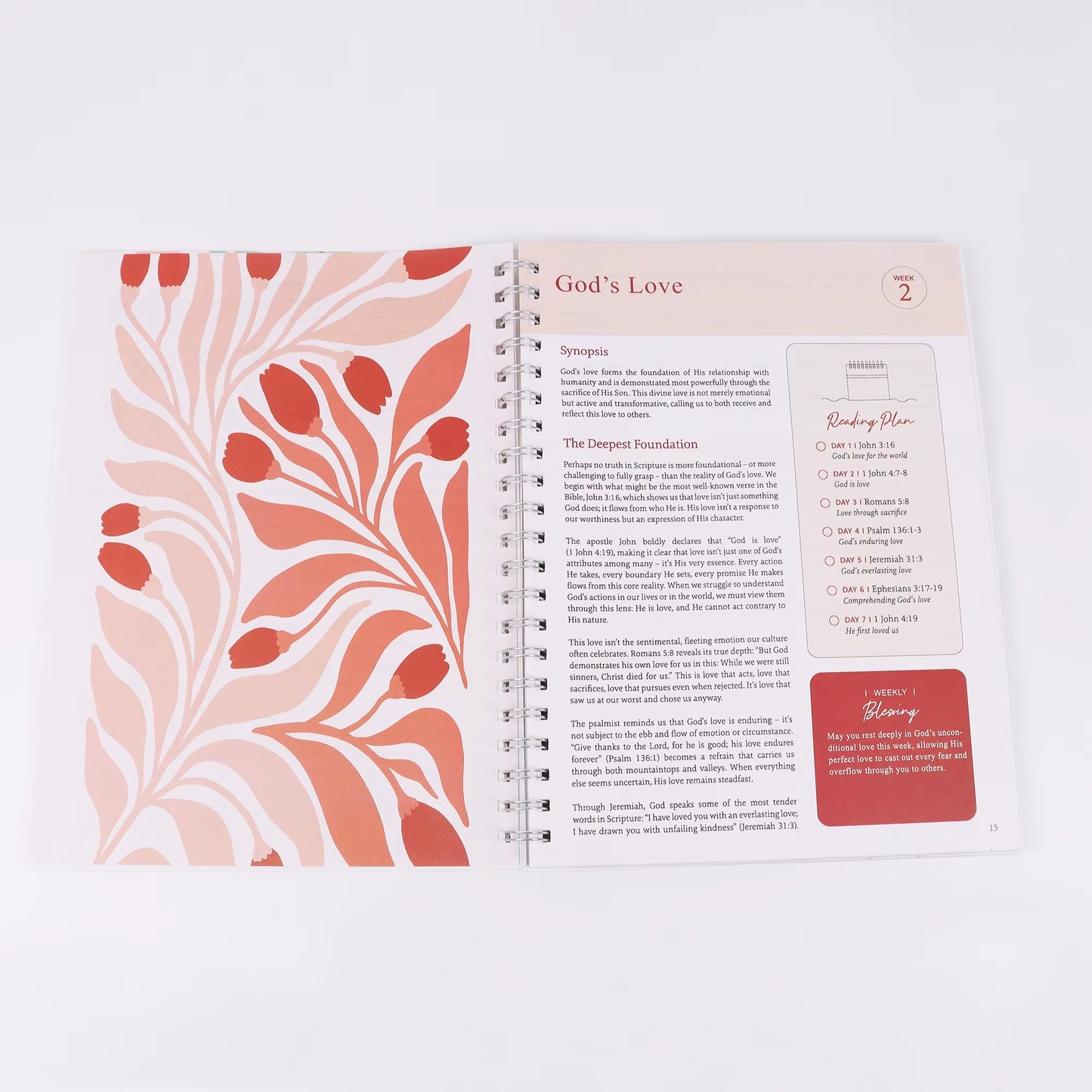 The Bible in a Year: Women'S Bible Study Plan-Daily Scripture Readings Structured 52-Week Plan for Consistent Bible Study & Spir